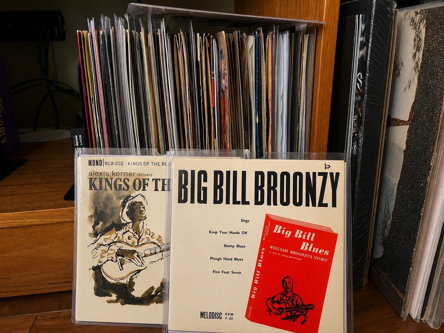 Vintage Big Bill Broonzy and Kings of the Blues records in protective sleeves