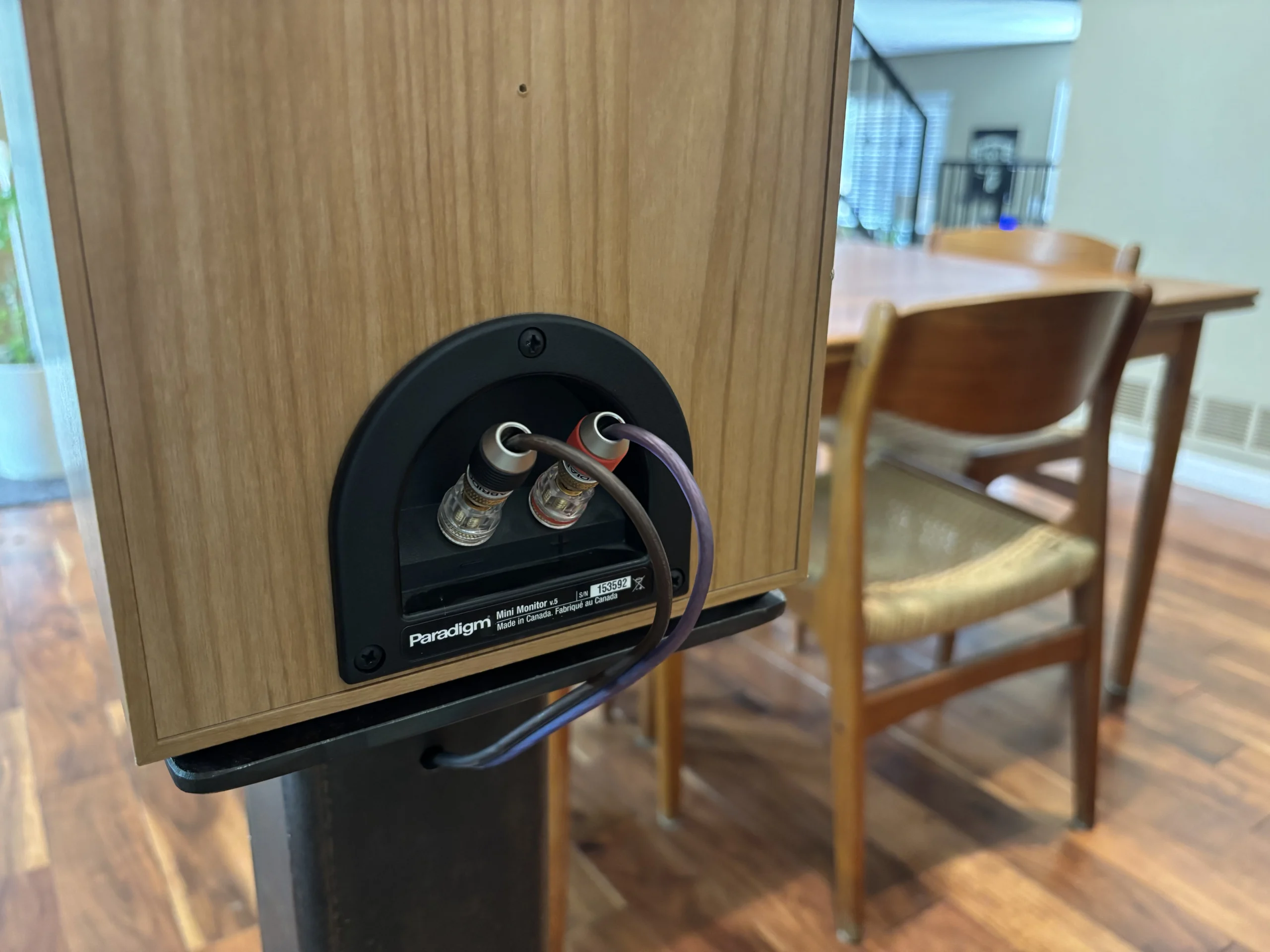 Back of a pair of bookshelf speakers with banana plug connections and properly gauged speaker wire attached to binding posts